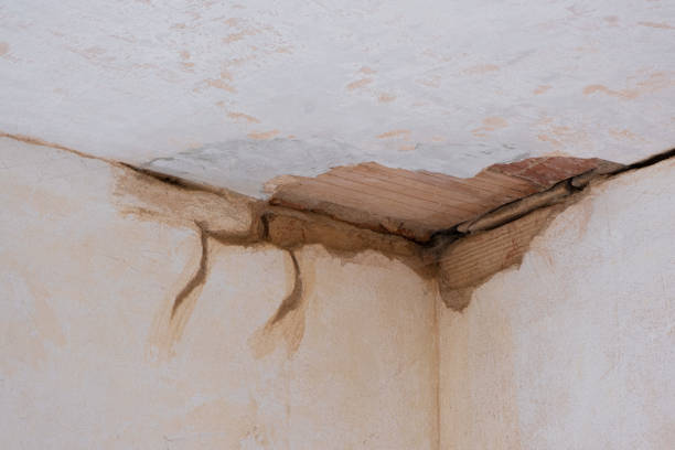 Best Water damage restoration near me  in Belen, NM