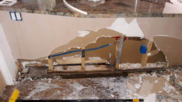 Best Professional water damage repair  in Belen, NM