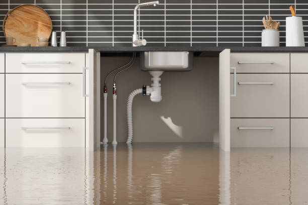 Reliable Belen, NM Water damage restoration Solutions